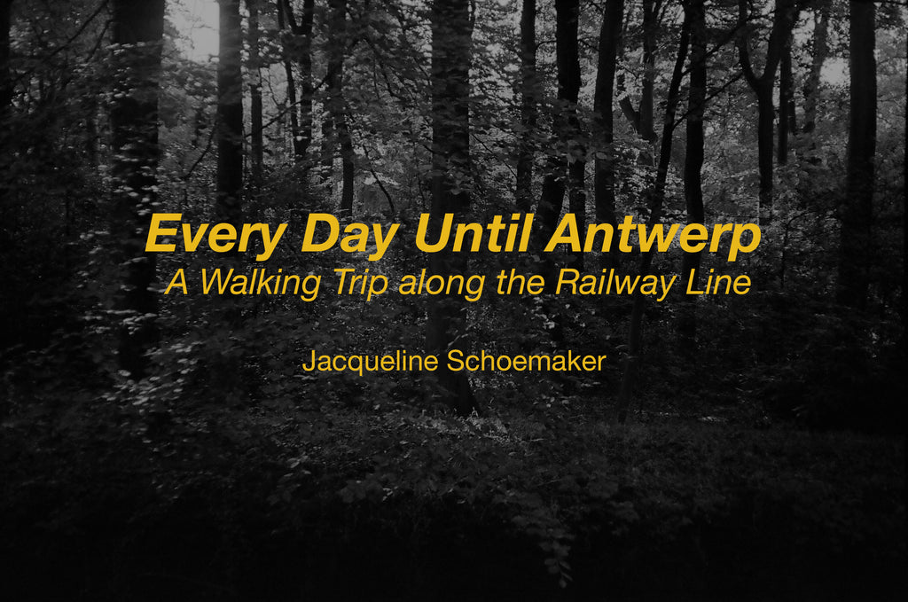 Video lezing: 'Alle dagen tot aan Antwerpen' - fragment II