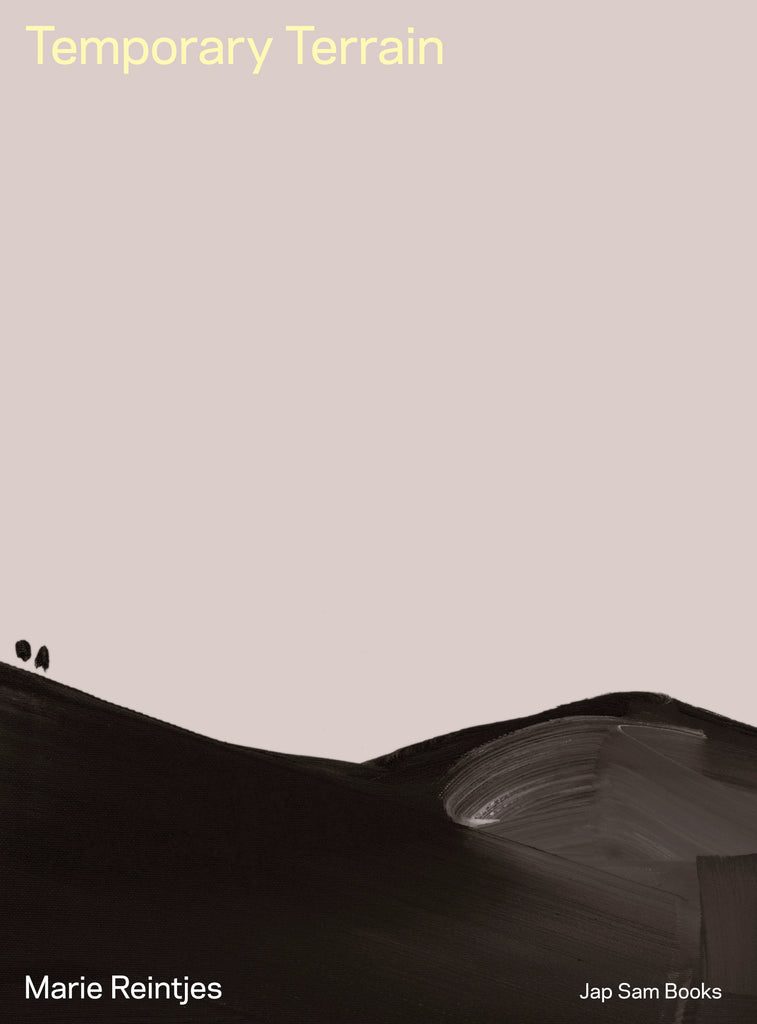 Temporary Terrain. Marie Reintjes