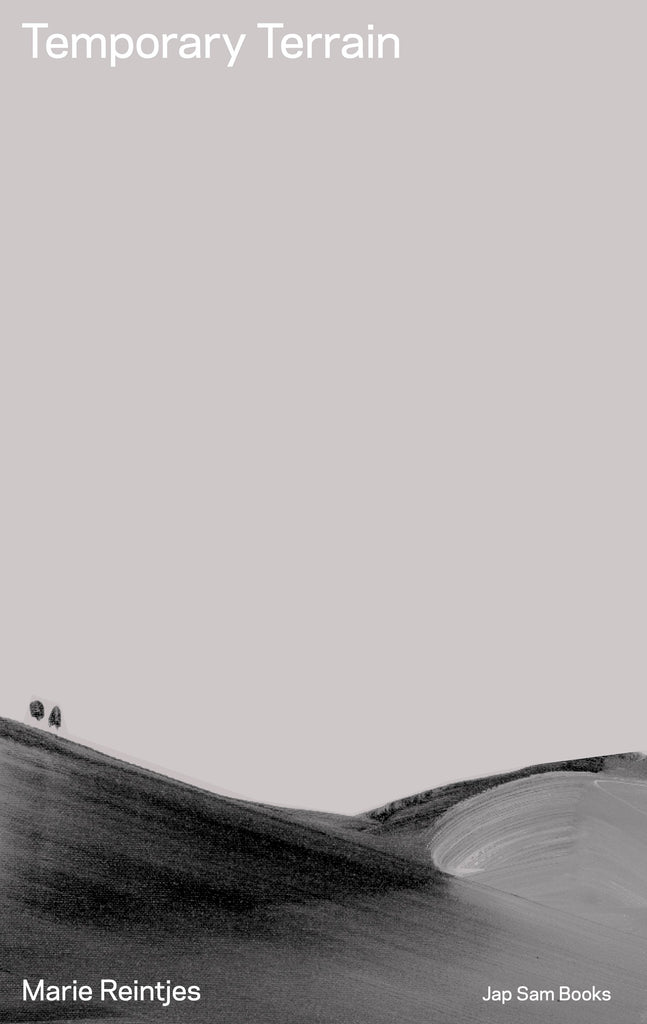 Temporary Terrain. Marie Reintjes
